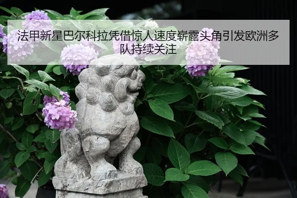 法甲新星巴尔科拉凭借惊人速度崭露头角引发欧洲多队持续关注